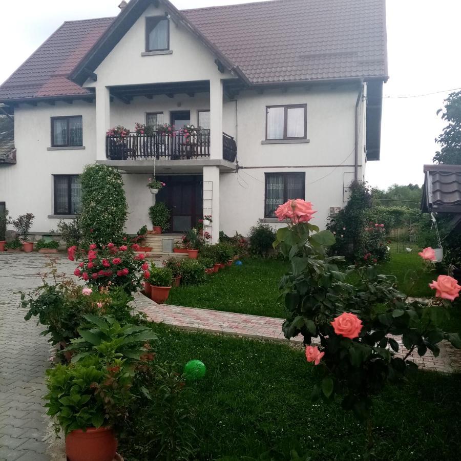 Casa Cornelia Hotel Bran  Buitenkant foto