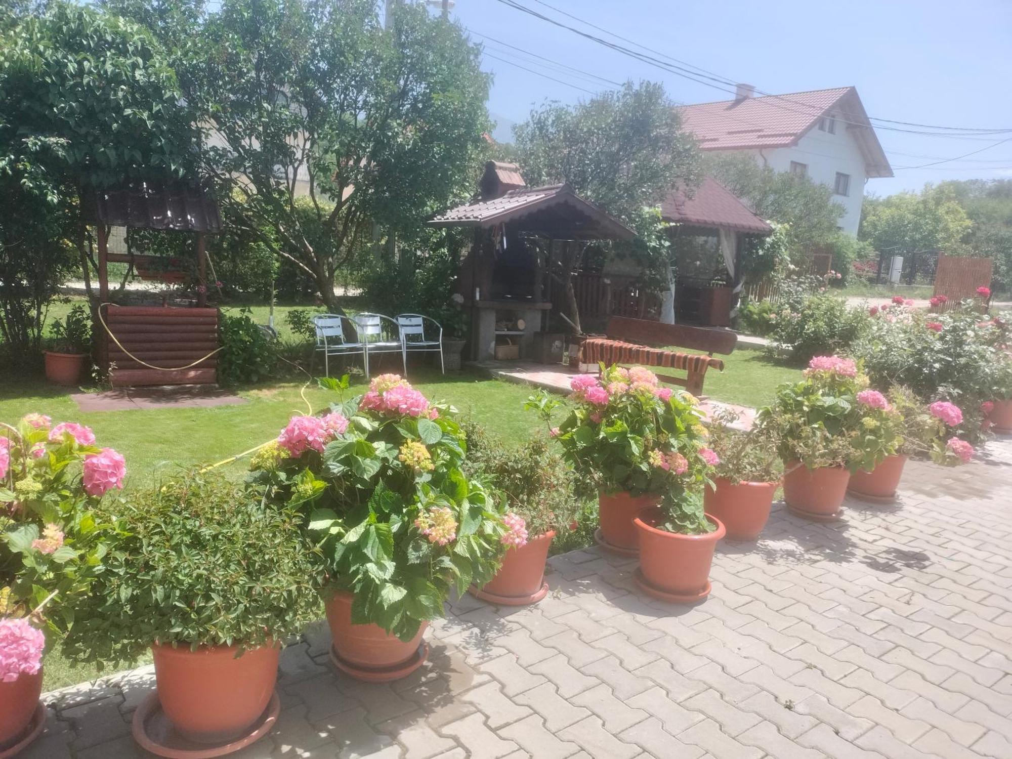 Casa Cornelia Hotel Bran  Buitenkant foto