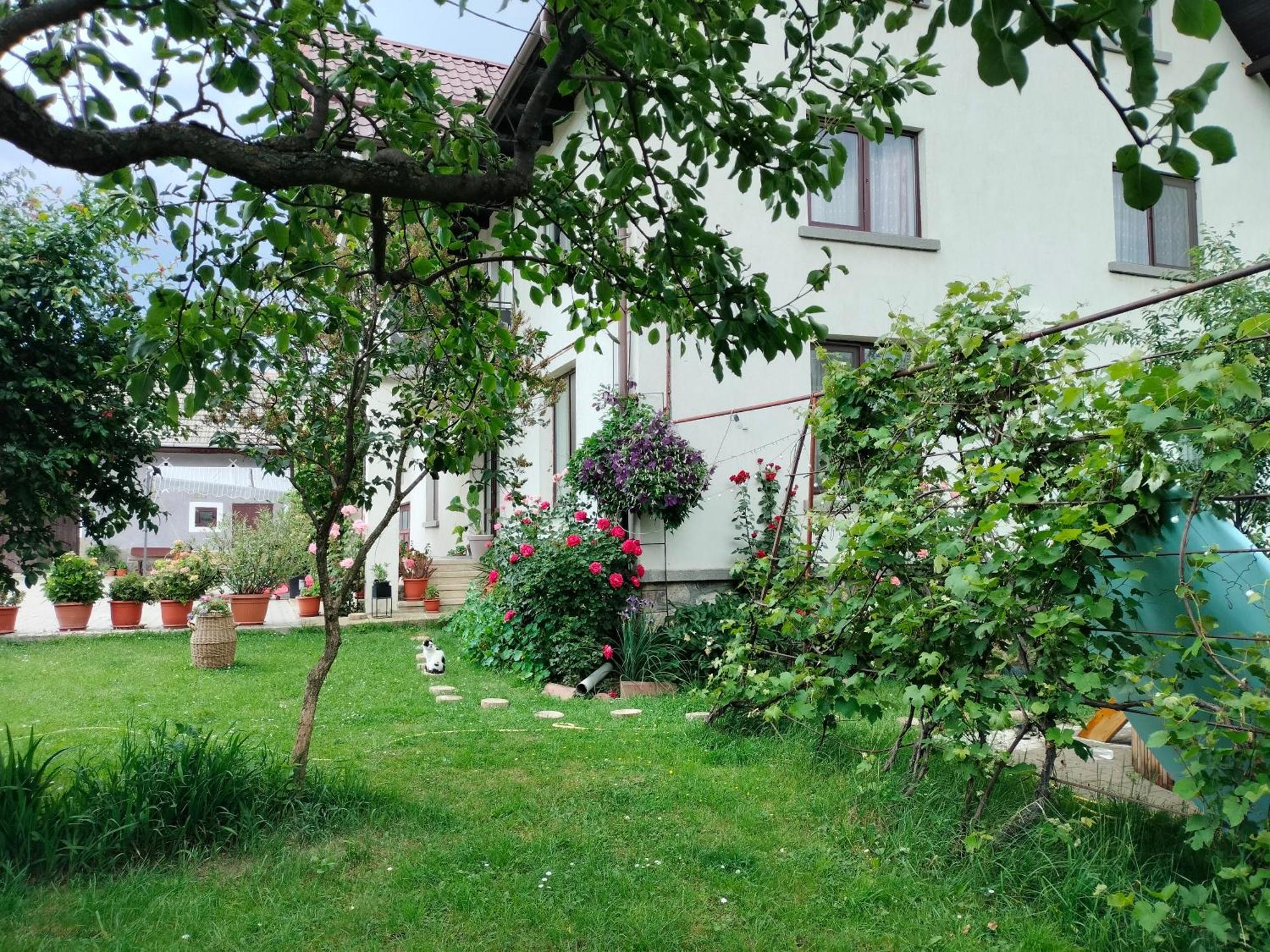 Casa Cornelia Hotel Bran  Buitenkant foto